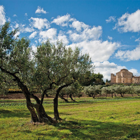 Olio Fresco „Novello“ 2026/2027 – Ursini (500 ml)
